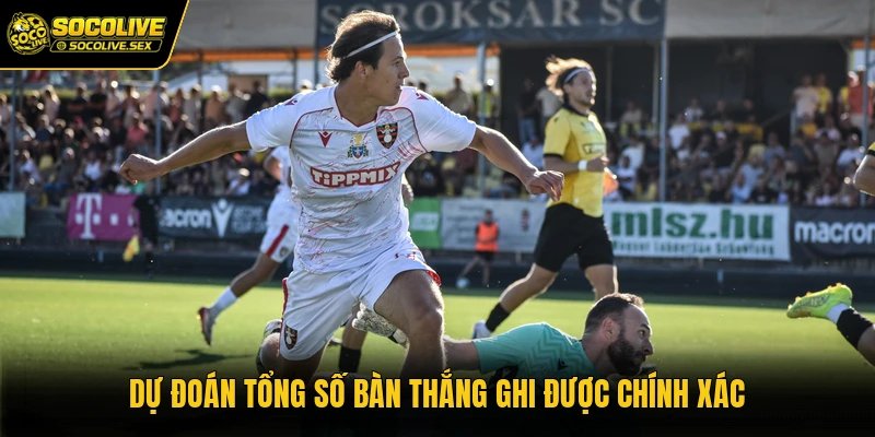 Dự đoán tổng số bàn thắng ghi được chính xác