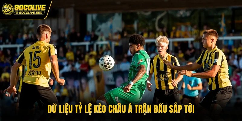 Dữ liệu tỷ lệ kèo châu Á trận đấu sắp tới
