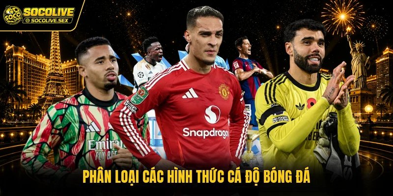 Phân loại các hình thức cá độ bóng đá