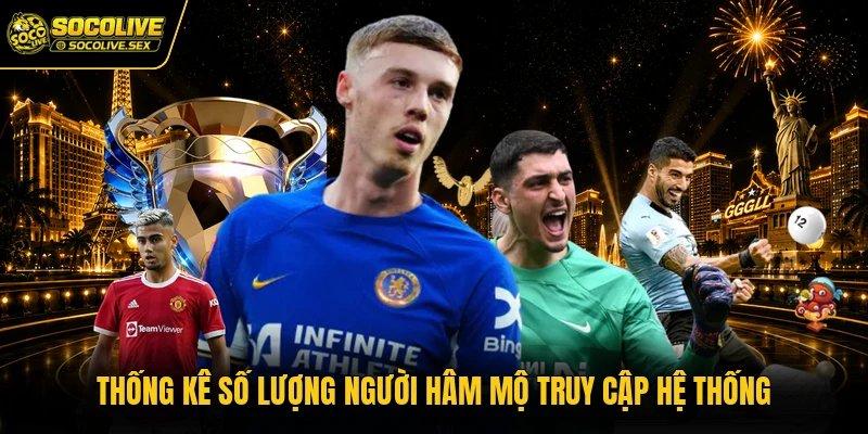 Thống kê số lượng người hâm mộ truy cập hệ thống