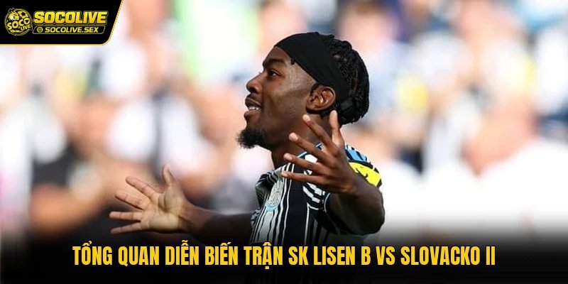 Tổng quan diễn biến trận SK Lisen B vs Slovacko II